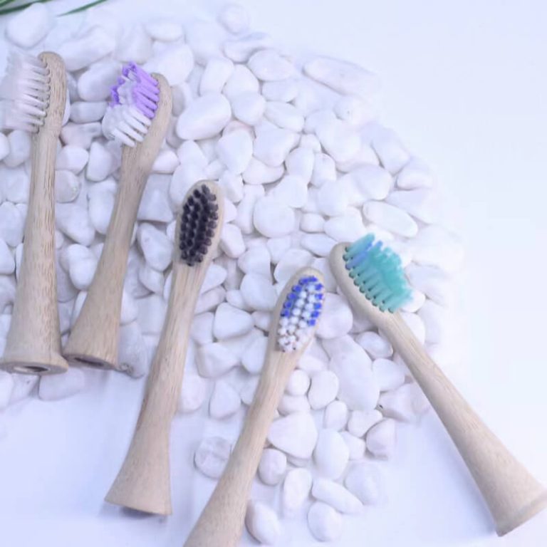 compostable tooth brush head