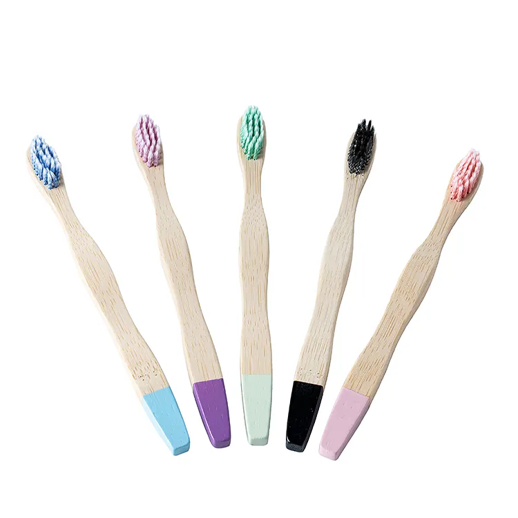 Best Compostable Toothbrush