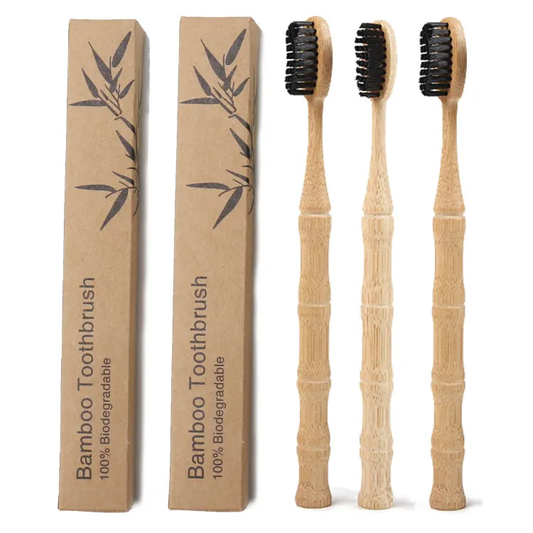 Biodegradable Toothbrush